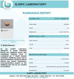 17 Mukhi Gaurishankar