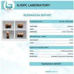 17 Mukhi Gaurishankar Lab Certificate