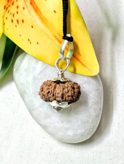 17 Mukhi Rudraksha