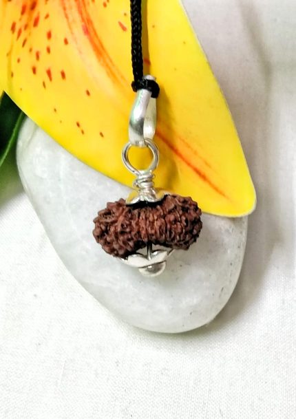 17 Mukhi Rudraksha