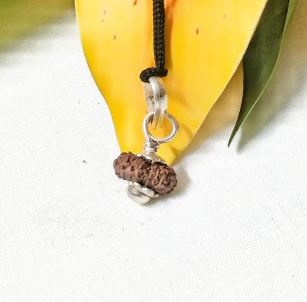 17 Mukhi Rudraksha