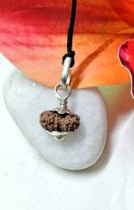 17 Mukhi Rudraksha