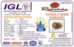 17 Mukhi Rudraksha