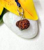 17 Mukhi Rudraksha