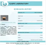 17 Mukhi lab Certificate