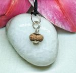 17 Mukhi Rudraksha