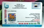 17 Mukhi Java Indonesia