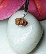 Gaurishankar Rudraksha