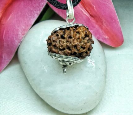 17 Mukhi Rurdraksha