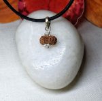 17 Mukhi Rudraksha
