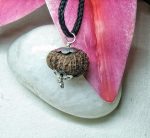 Seventeen Mukhi Java Indonesia
