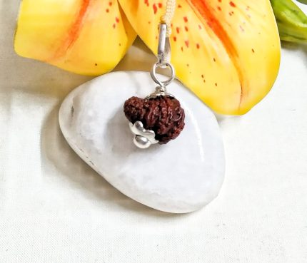 18 Mukhi Rudraksha