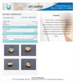 18 Mukhi Certificate