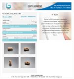 18 Mukhi Certificate