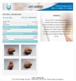 18 Mukhi Certificate