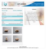 18 Mukhi Certificate