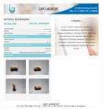 18 Mukhi Certificate