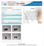 18 Mukhi Certificate