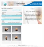 18 Mukhi Certificate