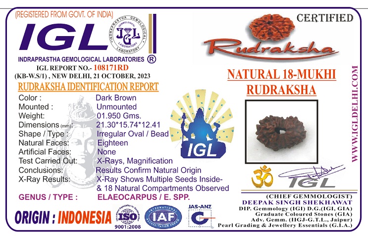 18 Mukhi Rudraksha 18 Mukhi Rudraksha