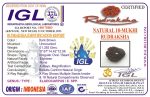 18 Mukhi Rudraksha