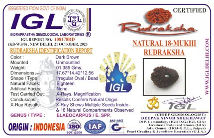 18 Mukhi Rudraksha