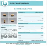 18 Mukhi lab Certificate