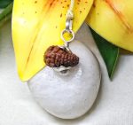 18 Mukhi Rudraksha