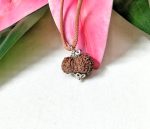 Twenty Mukhi Java Indonesia