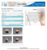 19 Mukhi Certificate