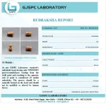 19 Mukhi lab Certificate