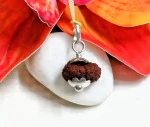 18 Mukhi Rudraksha