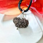Seventeen Mukhi Java Indonesia