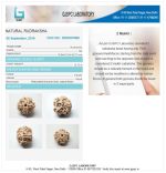 2 Mukhi Certificate