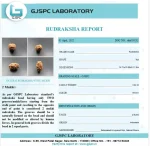 2 Mukhi lab Certificate