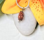 2 Mukhi Rudraksha