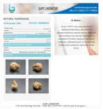 20 Mukhi Certificate