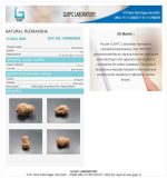 20 Mukhi Certificate