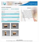 20 Mukhi Certificate