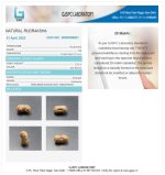 20 Mukhi Certificate