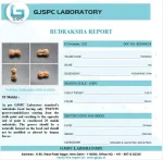 20 Mukhi lab Certificate