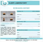 20 Mukhi lab Certificate