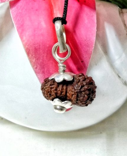 17 Mukhi Java Indonesia