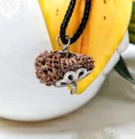 Seventeen Mukhi Java Indonesia