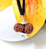 17 Mukhi Java Indonesia