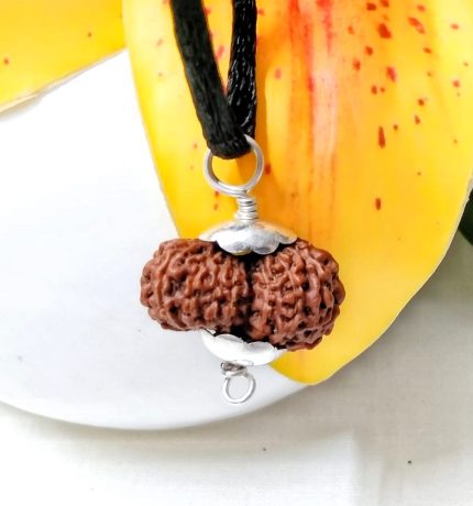 17 Mukhi Java Indonesia