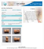 21 Mukhi Certificate