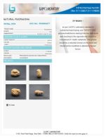 21 Mukhi Certificate