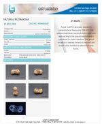 21 Mukhi Certificate