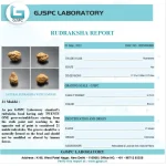 21 Mukhi lab Certificate